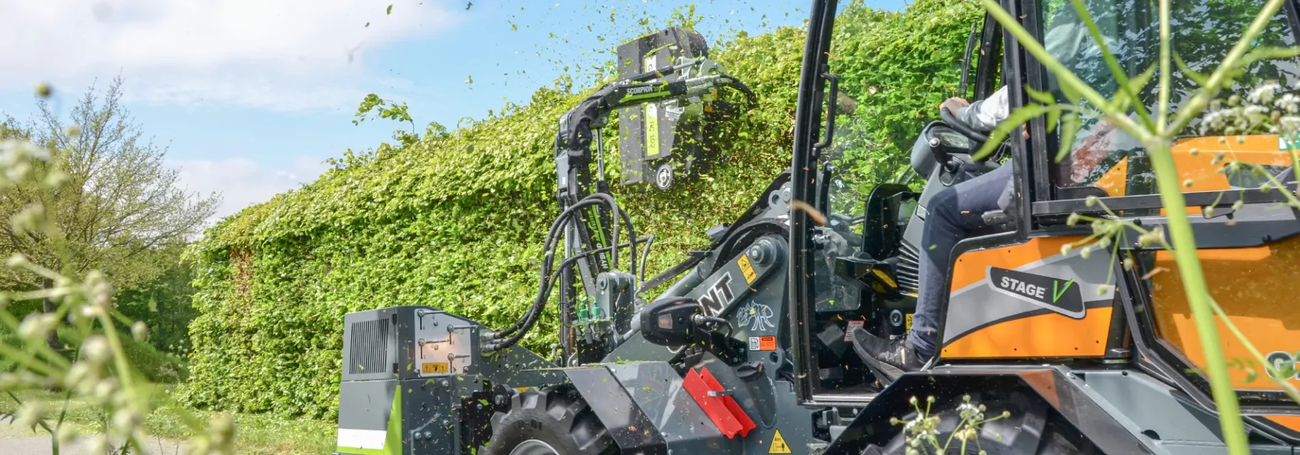 Professional hedge trimming with Giant skid steer