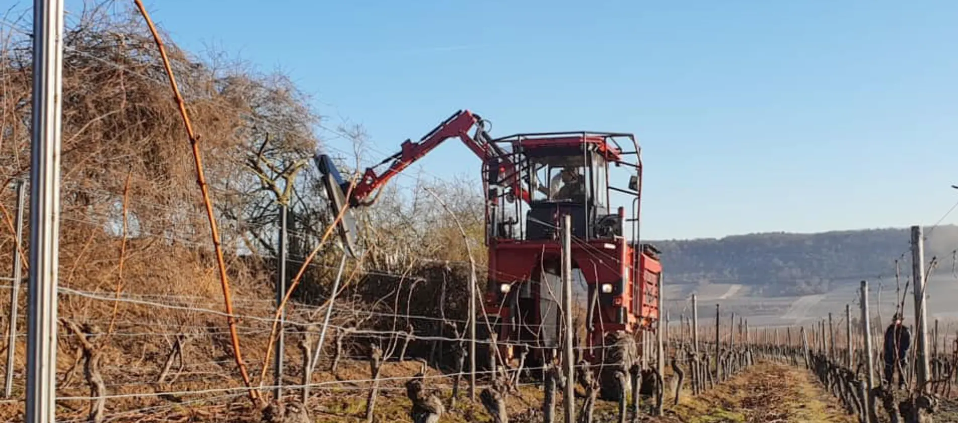 Hedgerow maintenance at vineyards and fields