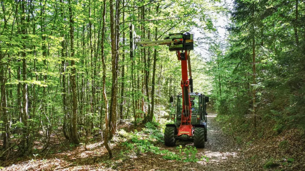 Forest maintenance with GreenTec limb saw