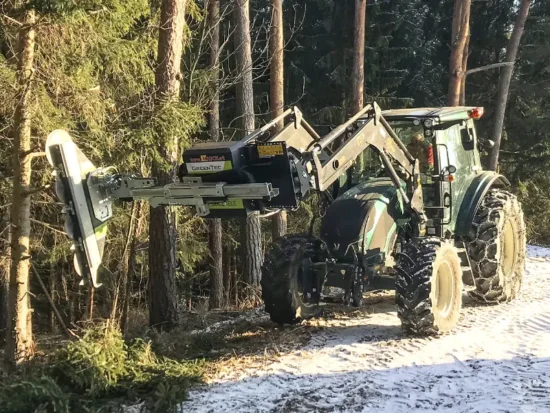 Tree trimming in forest