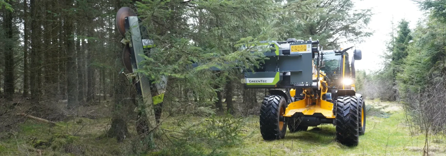 Tree trimming in forest with telescopic loader