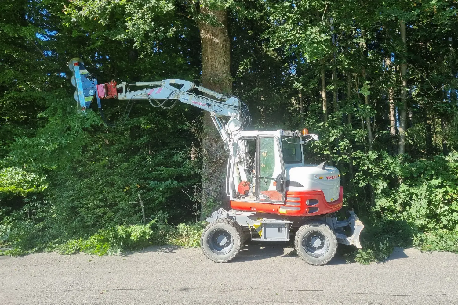 Excavator with saw head for tree maintenance