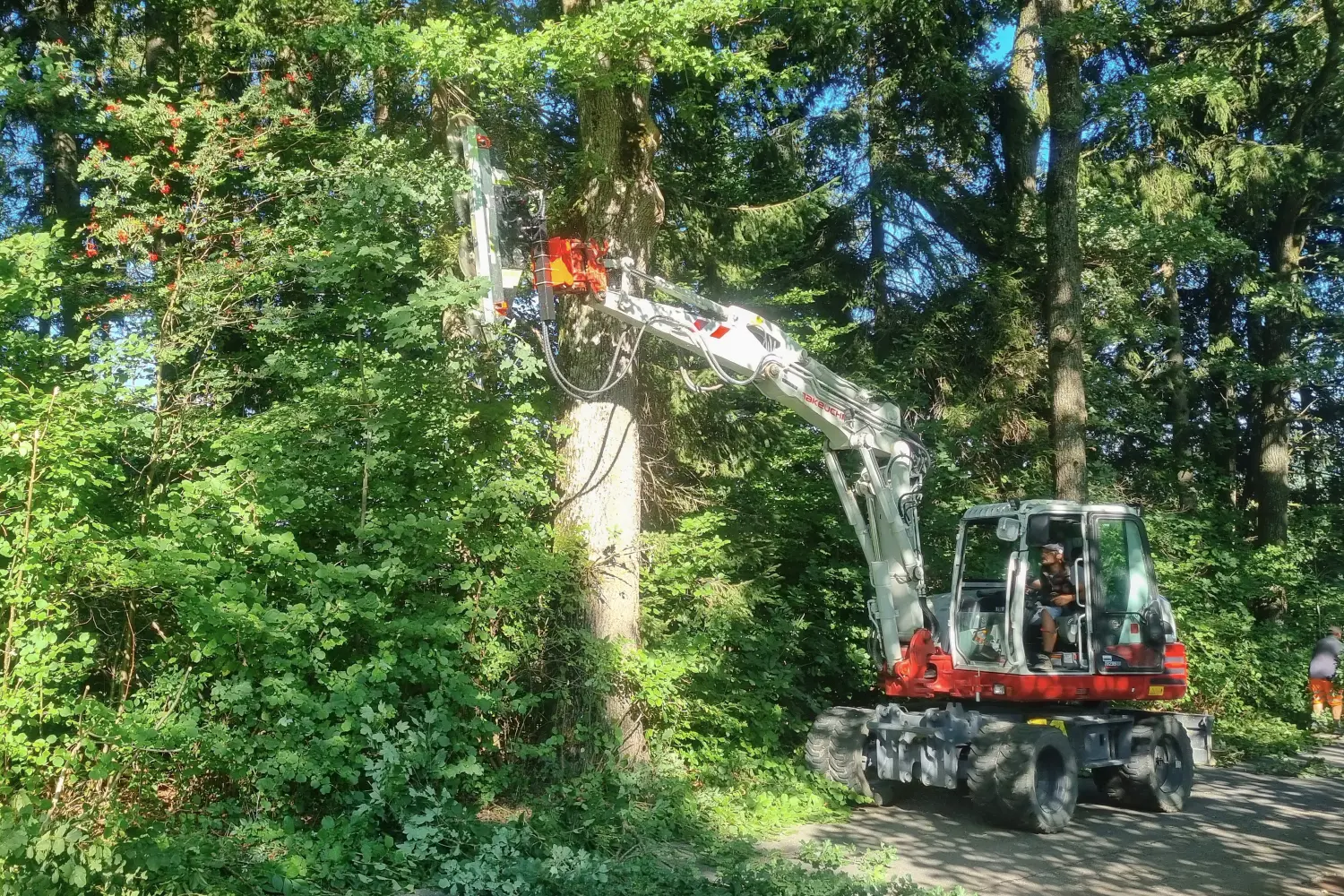 Hydraulic tree saw for excavator