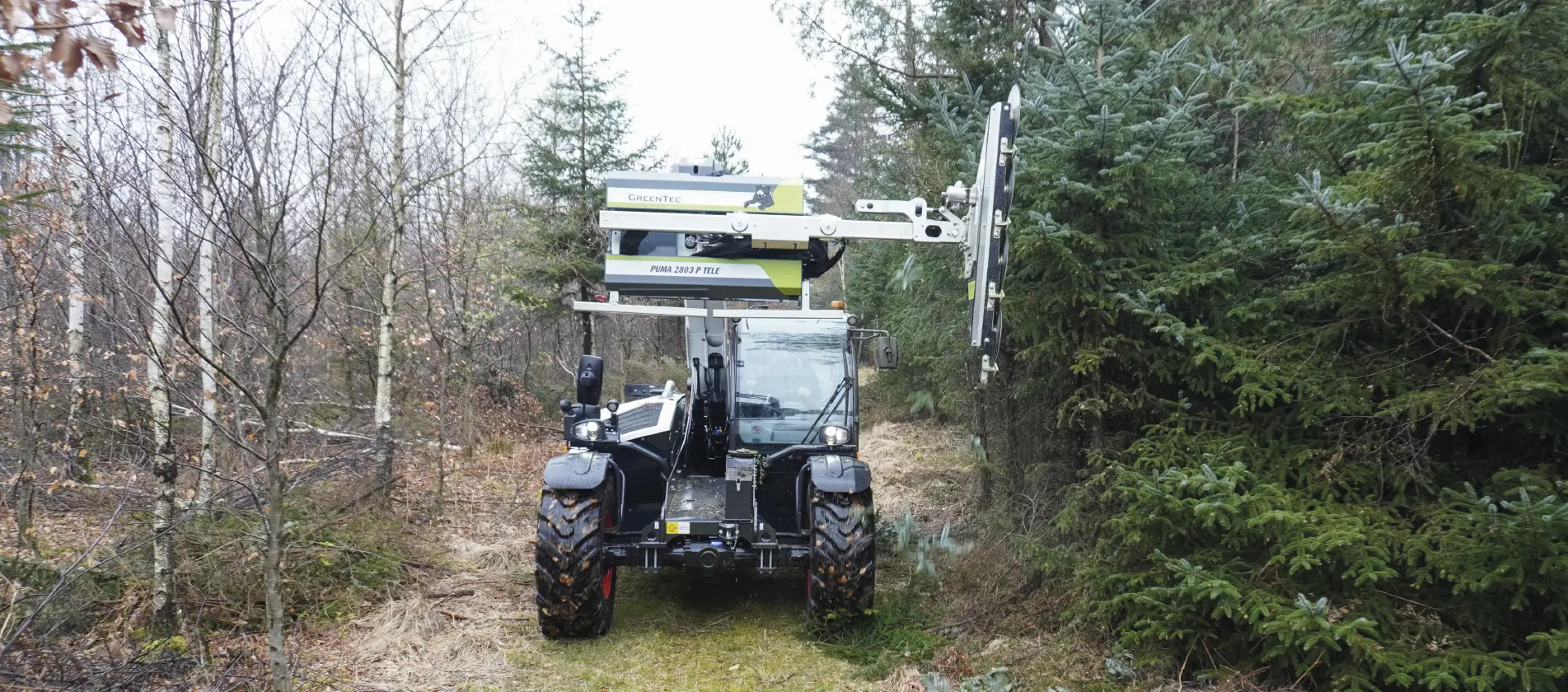 Tree trimming in forest with GreenTec machines