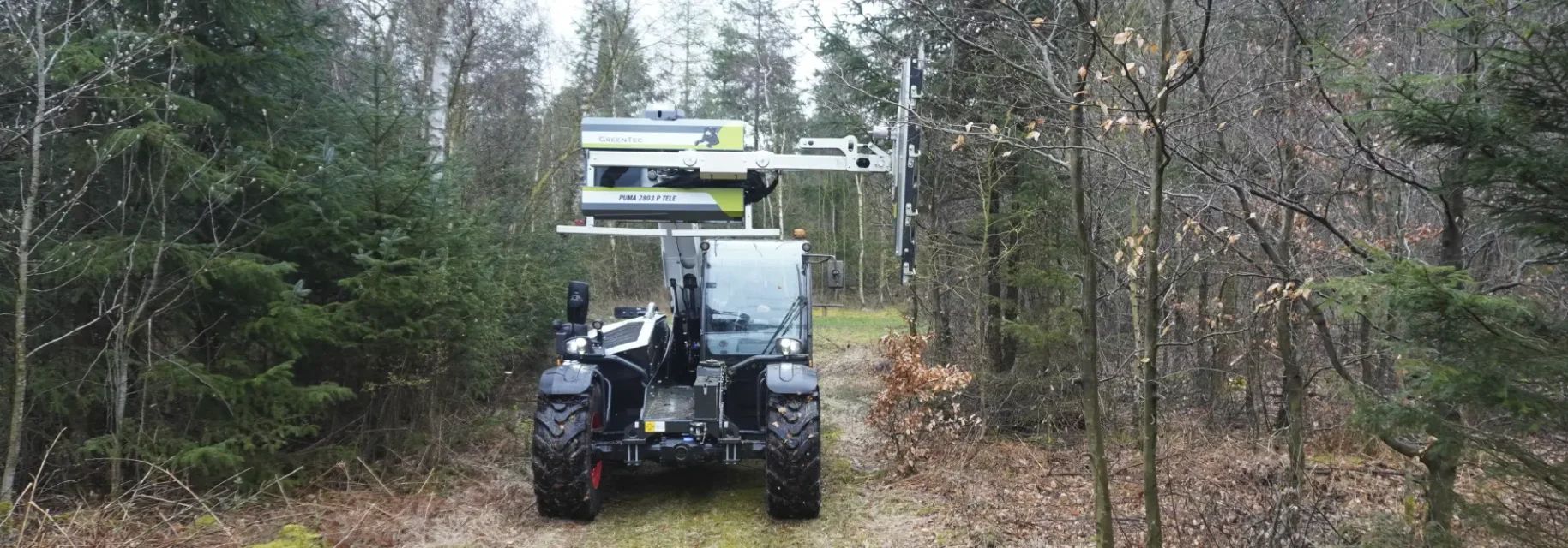Professional tree trimming with telehandler
